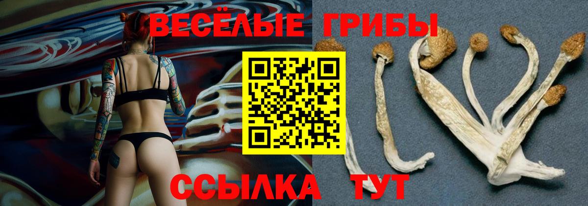 Галлюциногенные грибы мицелий Татарск