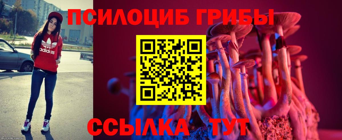 Татарск  Галлюциногенные грибы MAGIC MUSHROOMS  Галлюциногенные грибы Psilocybine cubensis  Вход с VPN 